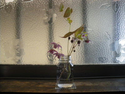 IMGP2982.jpg