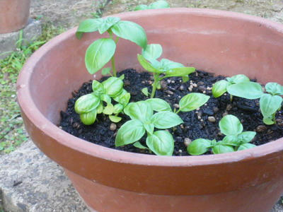 IMGP3215.jpg