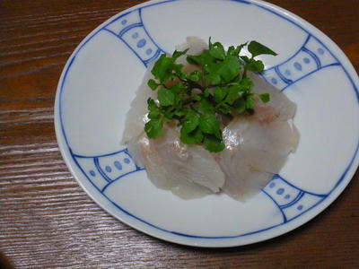 IMGP3299.jpg