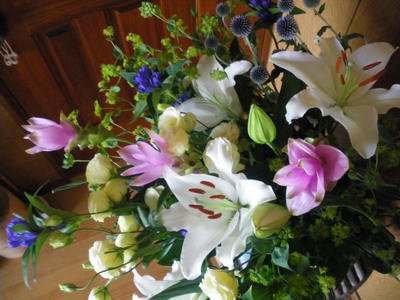 IMGP3349.jpg