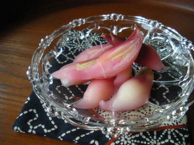 IMGP3564.jpg