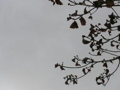 IMGP0052.jpg