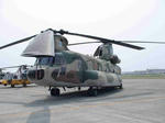 af1c300d.jpg