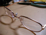 0107g.jpg