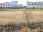 0211mikawa.jpg