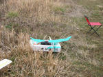 0308f.jpg