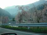 0430b.jpg