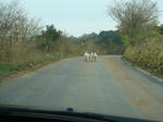 0505f.jpg