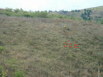 0606m.jpg