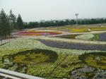 0614f.jpg