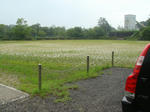 0801a.jpg