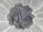 0905b.jpg
