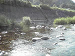 0905d.jpg