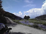 0905f.jpg