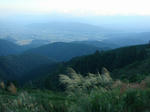 0908f.jpg