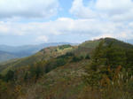 yama7.jpg