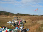0110e.jpg
