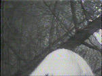DSC00478.JPG