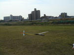 0403e.jpg