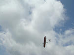 0710e.jpg