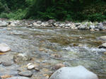 0806a.jpg