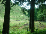 0806e.jpg