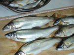 8ea01019.jpg