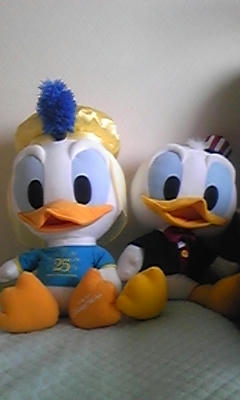 DVC00054.JPG