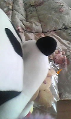 DVC00203.JPG