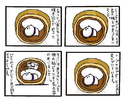 takichou2.GIF