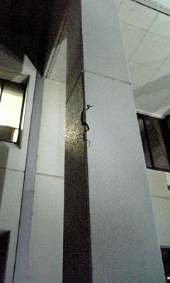 DVC00004.JPG