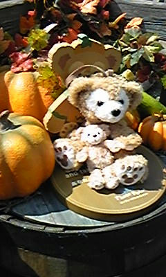 DVC00312.JPG