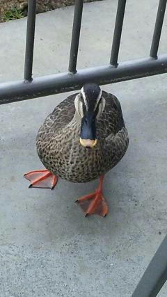 DVC00012.JPG