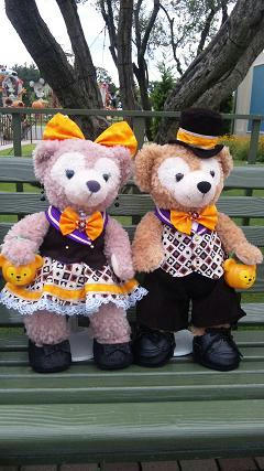 DVC00005.JPG