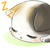ｚｚｚ