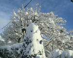 CIMG0649.jpg