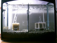 ダサい・・・。