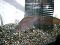 日の光を浴びる