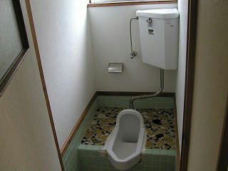 7028655a.jpg