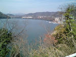 2011-03-20-sagamiko-012.jpg