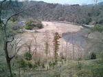 2011-03-20-sagamiko-022.jpg
