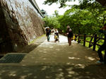 P1020007.JPG