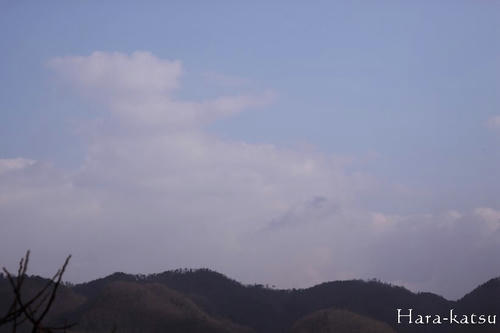 IMG_3848.jpg
