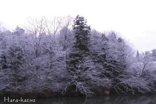DPP_0008.jpg