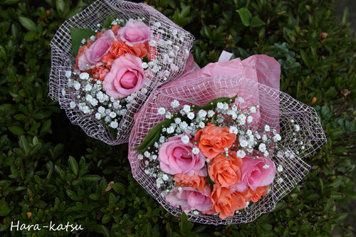 IMG_6452s.jpg