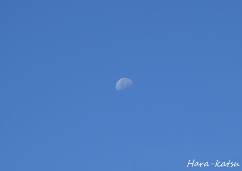 IMG_6722s.jpg