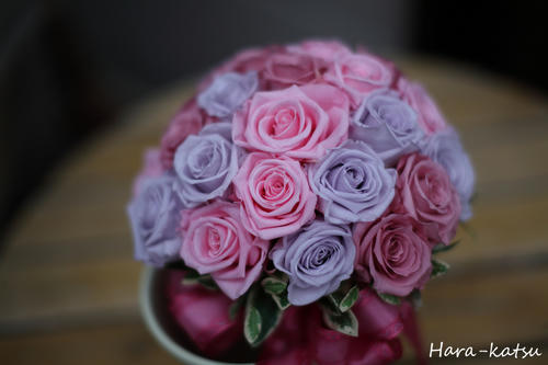 IMG_1908s.jpg