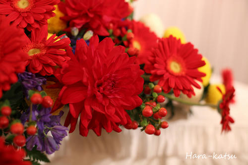 IMG_2662s.jpg