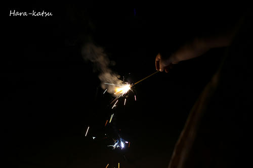 IMG_6244s.jpg