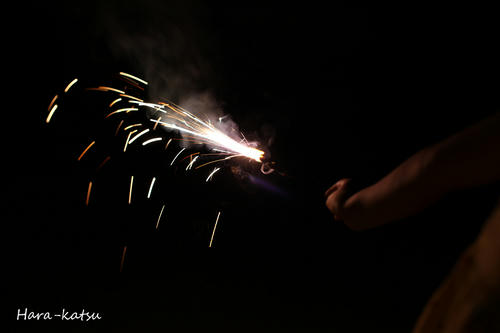 IMG_6247s.jpg